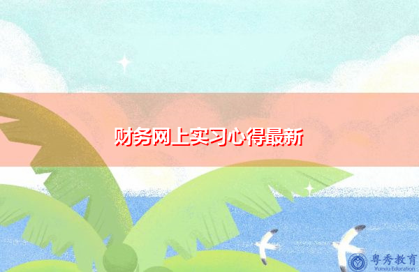 财务网上实习心得最新 财务网上实习心得最新