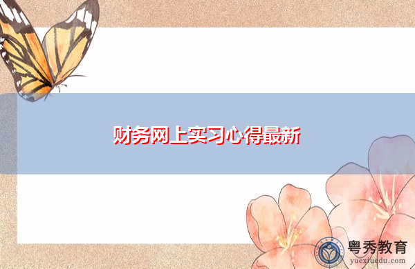 财务网上实习心得最新 财务网上实习心得最新