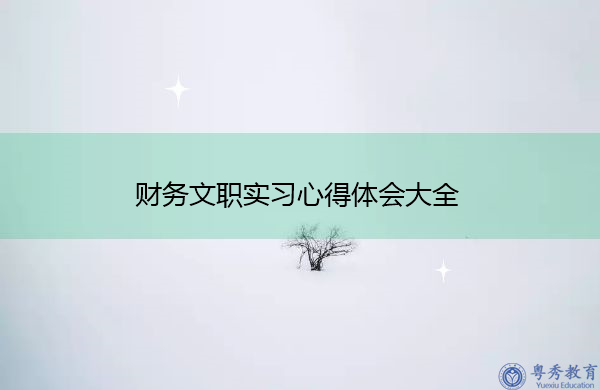 财务文职实习心得体会大全