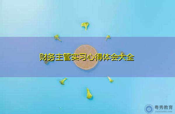 财务主管实习心得体会大全