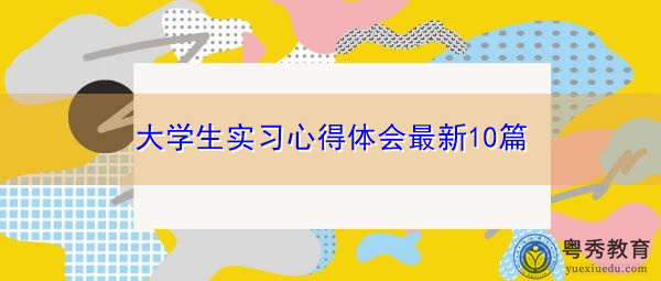 大学生实习心得体会最新10篇
