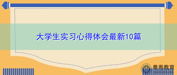 大学生实习心得体会最新10篇
