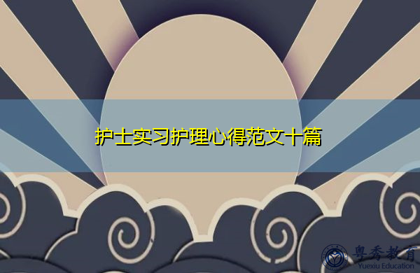 护士实习护理心得范文十篇
