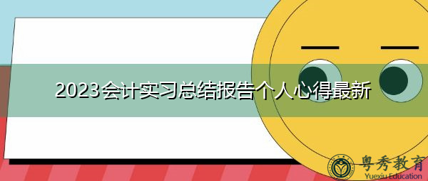 2023会计实习总结报告个人心得最新 2023会计实习总结报告个人心得最新