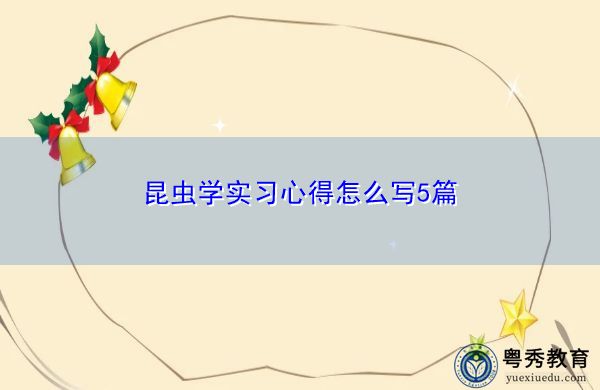 昆虫学实习心得怎么写5篇