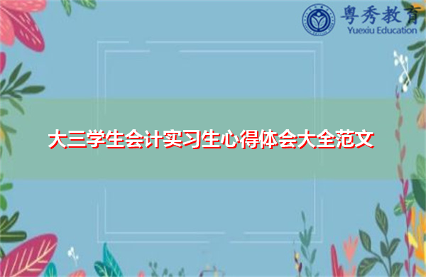 大三学生会计实习生心得体会大全范文 大三学生会计实习生心得体会大全范文