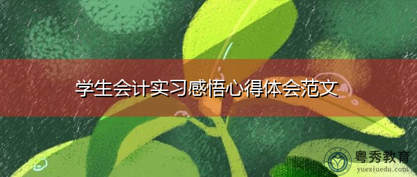 学生会计实习感悟心得体会范文