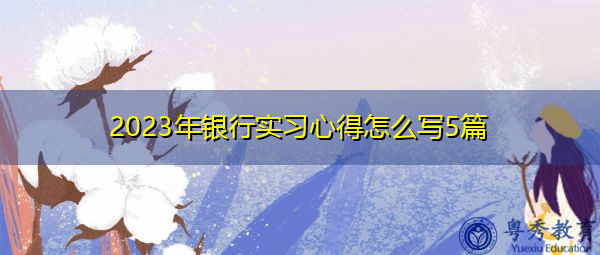 2023年银行实习心得怎么写5篇
