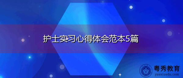 护士实习心得体会范本5篇