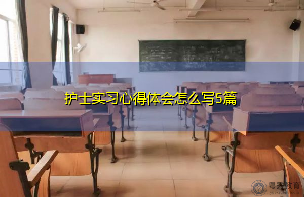 护士实习心得体会怎么写5篇 护士实习心得体会怎么写5篇