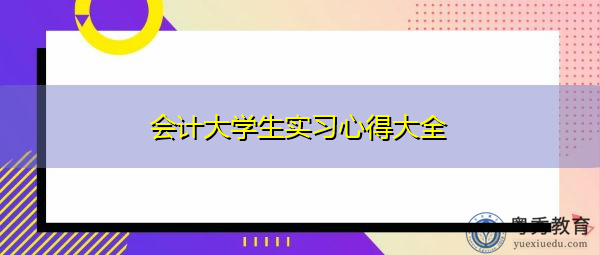 会计大学生实习心得大全