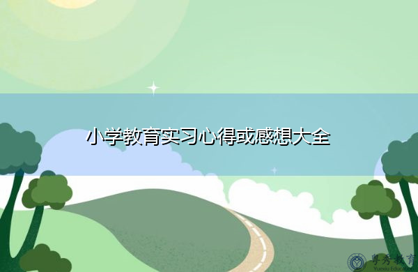 小学教育实习心得或感想大全