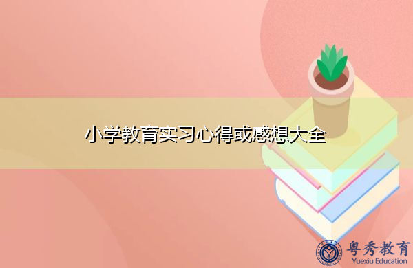 小学教育实习心得或感想大全