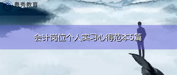 会计岗位个人实习心得范本5篇