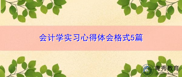 会计学实习心得体会格式5篇 会计学实习心得体会格式5篇
