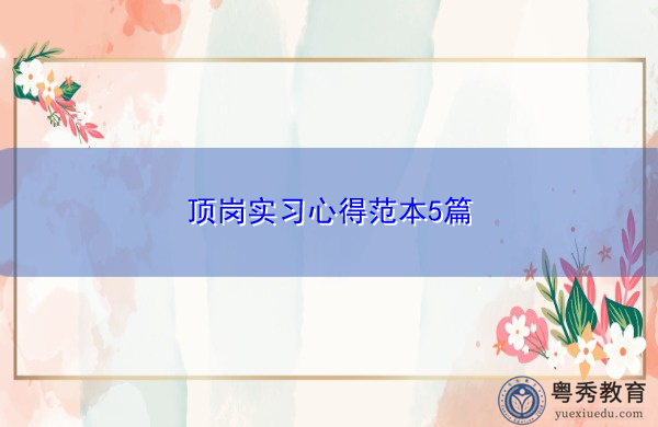 顶岗实习心得范本5篇 顶岗实习心得范本5篇