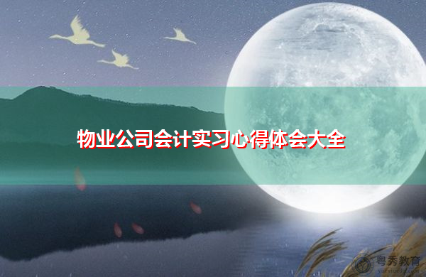 物业公司会计实习心得体会大全