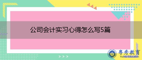 公司会计实习心得怎么写5篇