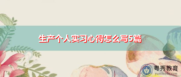 生产个人实习心得怎么写5篇