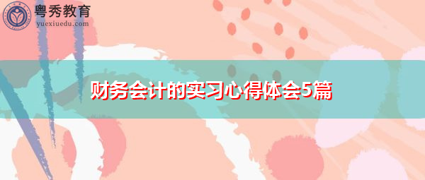 财务会计的实习心得体会5篇