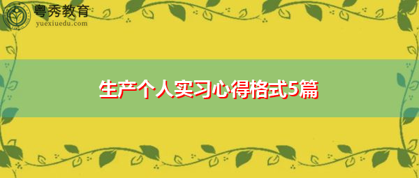 生产个人实习心得格式5篇