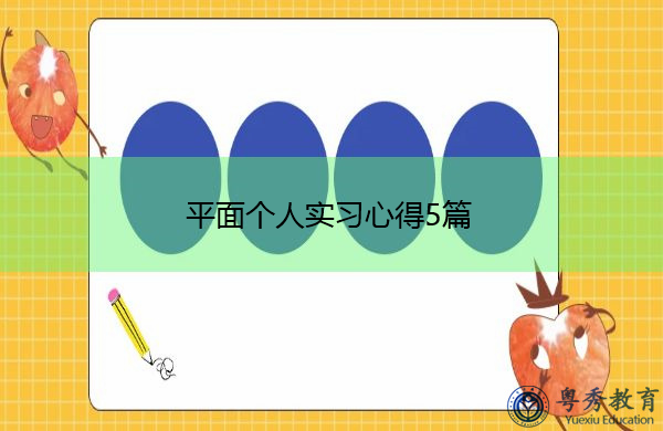 平面个人实习心得5篇