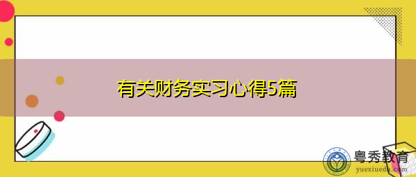 有关财务实习心得5篇