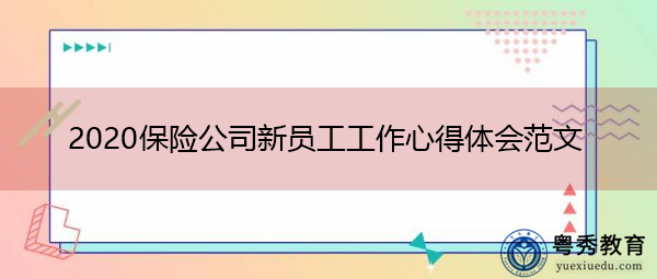 2020保险公司新员工工作心得体会范文