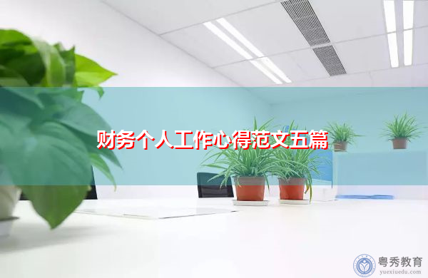 财务个人工作心得范文五篇