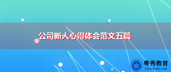 公司新人心得体会范文五篇 公司新人心得体会范文五篇