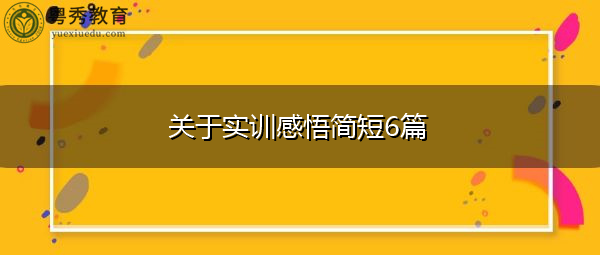 关于实训感悟简短6篇