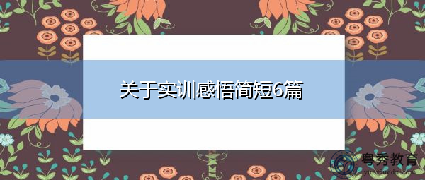 关于实训感悟简短6篇