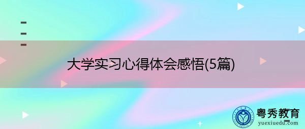 大学实习心得体会感悟(5篇) 大学实习心得体会感悟(5篇)