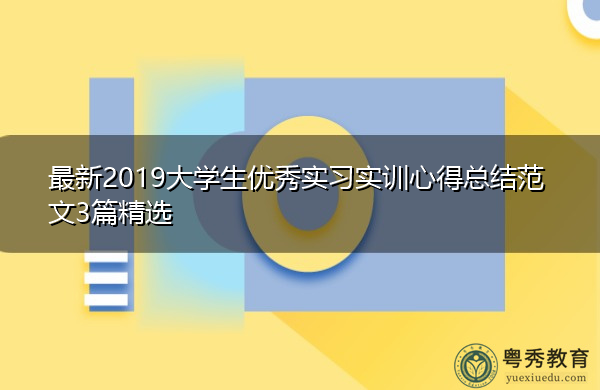 最新2019大学生优秀实习实训心得总结范文3篇精选 最新2019大学生优秀实习实训心得总结范文3篇精选