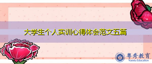 大学生个人实训心得体会范文五篇