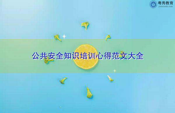 公共安全知识培训心得范文大全 公共安全知识培训心得范文大全