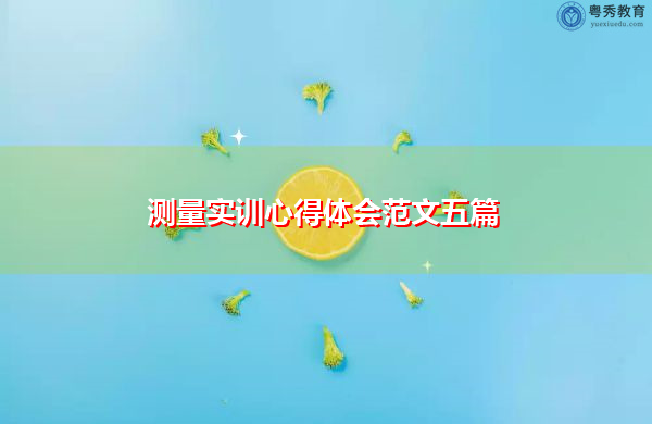测量实训心得体会范文五篇