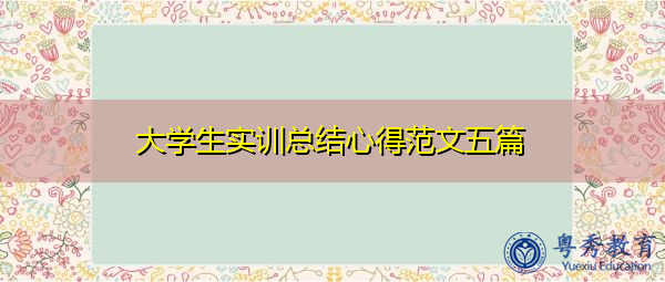 大学生实训总结心得范文五篇