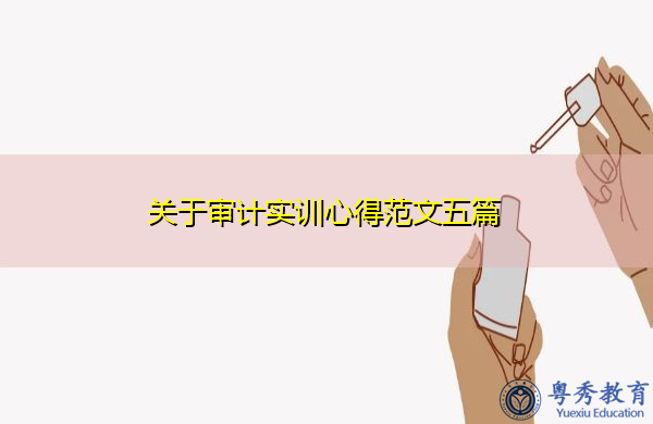 关于审计实训心得范文五篇