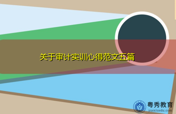 关于审计实训心得范文五篇