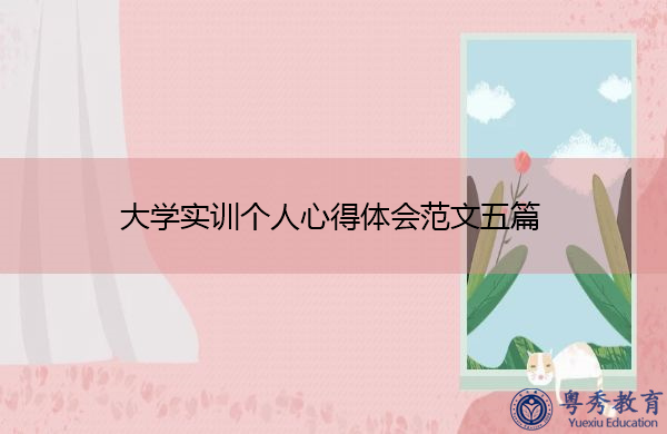 大学实训个人心得体会范文五篇