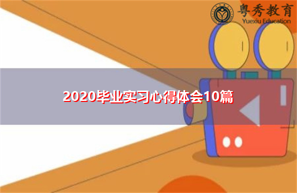 2020毕业实习心得体会10篇