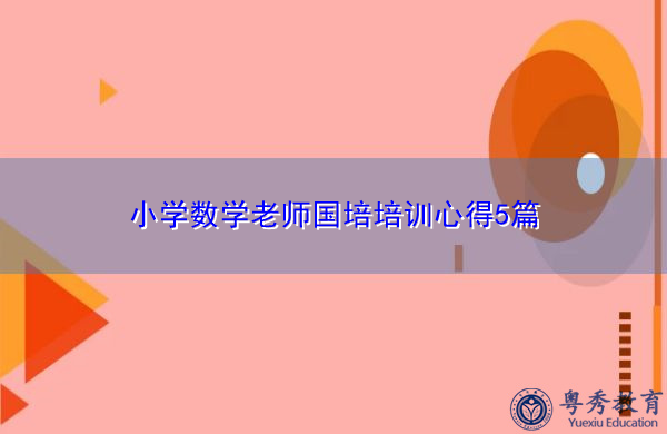 小学数学老师国培培训心得5篇