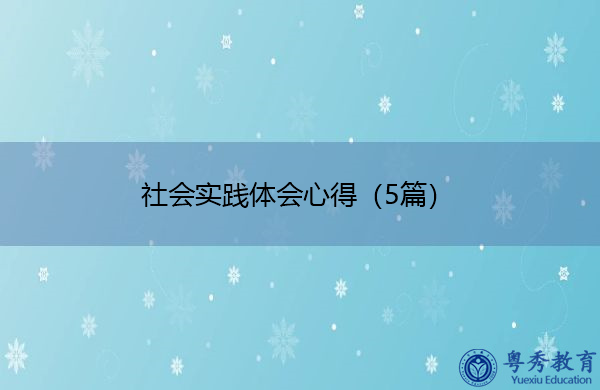 社会实践体会心得（5篇）