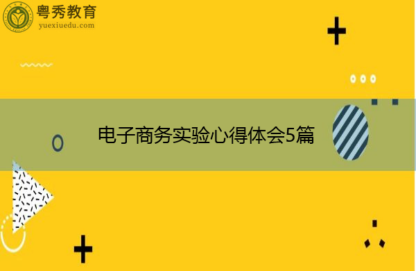 电子商务实验心得体会5篇