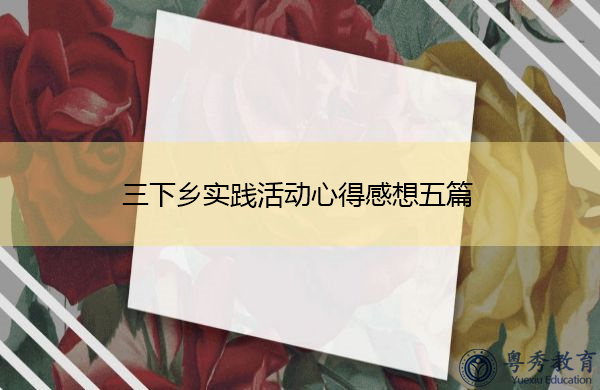 三下乡实践活动心得感想五篇