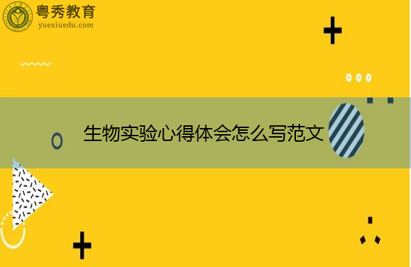 生物实验心得体会怎么写范文 生物实验心得体会怎么写范文