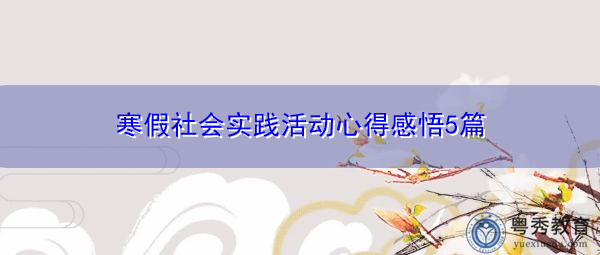 寒假社会实践活动心得感悟5篇 寒假社会实践活动心得感悟5篇