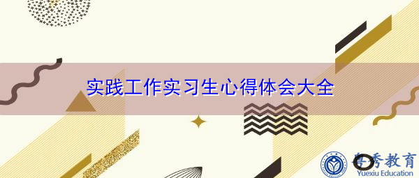 实践工作实习生心得体会大全