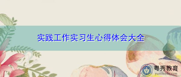 实践工作实习生心得体会大全